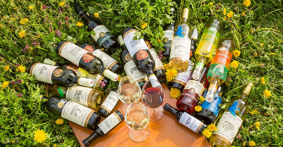 Ochutnávková kolekce vín