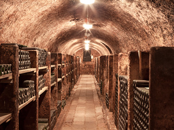 Nabídka unikátních archivních vín