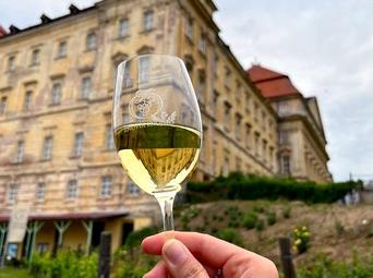Letní degustace vín v Louckém klášteře 2023