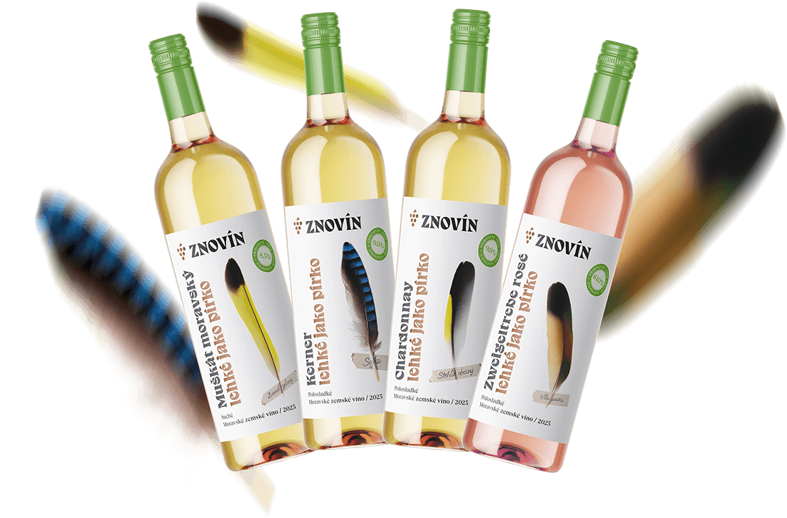 Kolekce Lehké jako pírko
