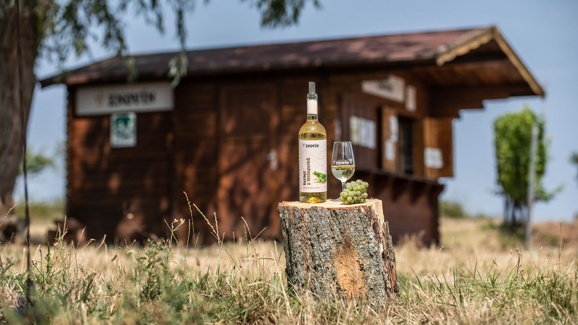 Ochutnávkový stánek na viniční trati Staré vinice, Havraníky