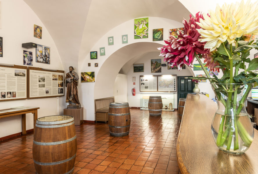 Prohlídky Louckého kláštera