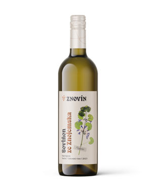 Sauvignon