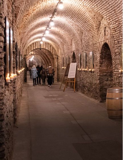 Informace pro účastníky Jarního putování po vinicích 2025
