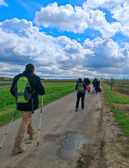 Den Znovín Walkingu 19. 4. 2025