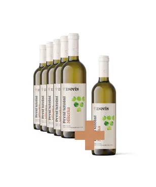 PRVNÍ LETOŠNÍ - Müller Thurgau 5+1