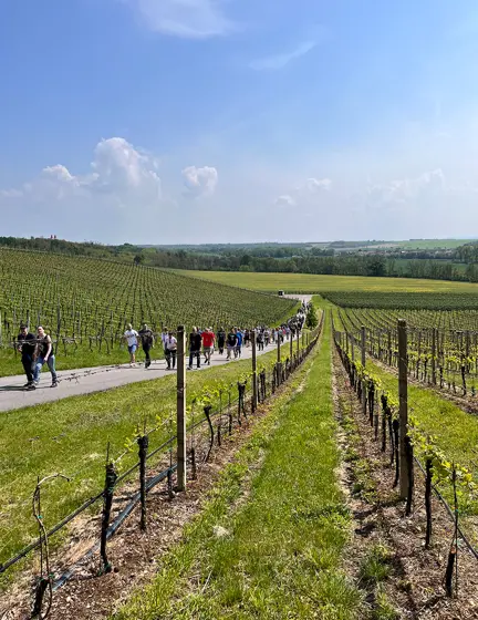Jarní putování po vinicích Znojemska 2025