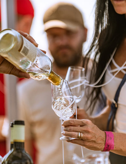 Informace pro účastníky Jarního putování po vinicích 2025