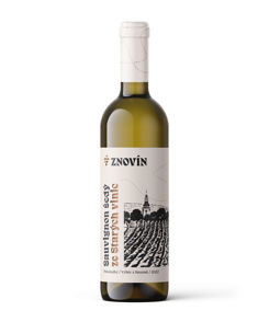 Sauvignon šedý