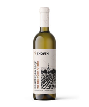 Sauvignon šedý