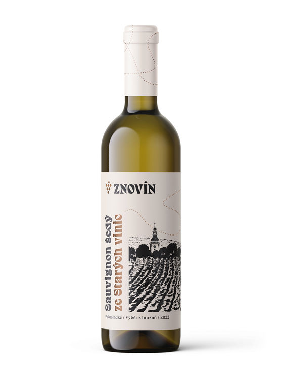 Sauvignon šedý