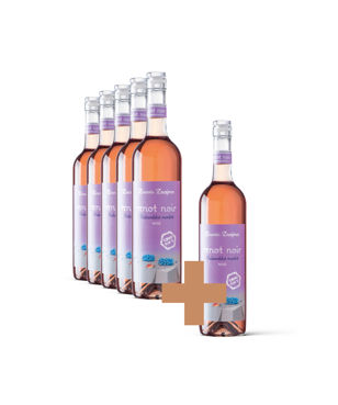 Rulandské modré rosé 5+1