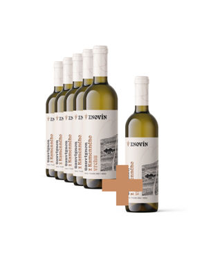 Sauvignon 5+1