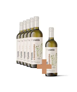 Ryzlink vlašský 5+1