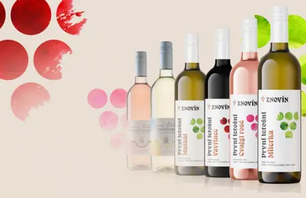 Kolekce První letošní 2025