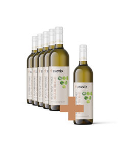 SVATOMARTINSKÉ - Müller Thurgau 5+1