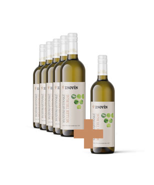 SVATOMARTINSKÉ - Müller Thurgau 5+1