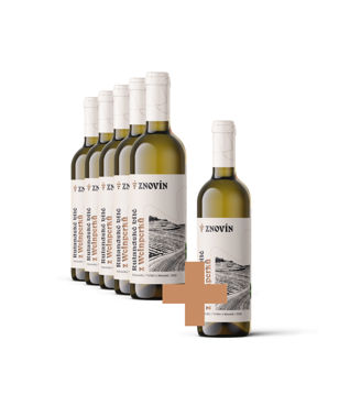 Rulandské bílé 5+1