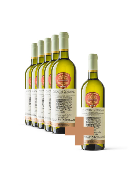 Muškát moravský 5+1