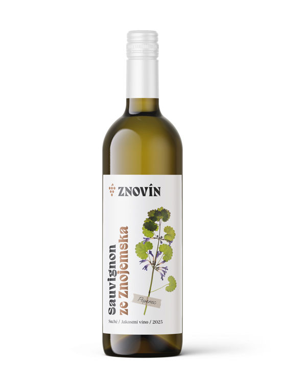 Sauvignon