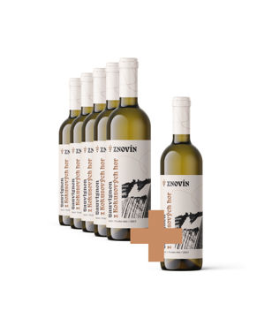 Sauvignon 5+1