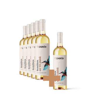 Semillon 5+1