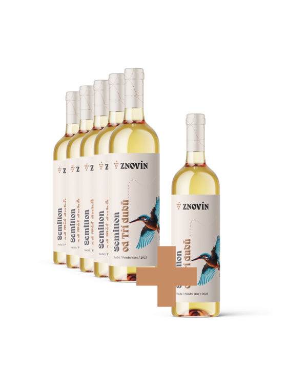 Semillon 5+1