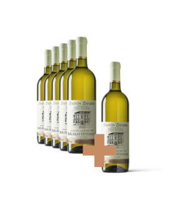 Muškát Ottonel 5+1