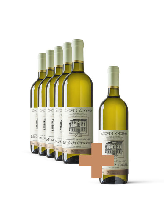 Muškát Ottonel 5+1